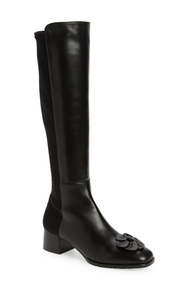 Stuart Weitzman x Sandy Liang Knee High Boot in Black Nappa Cover