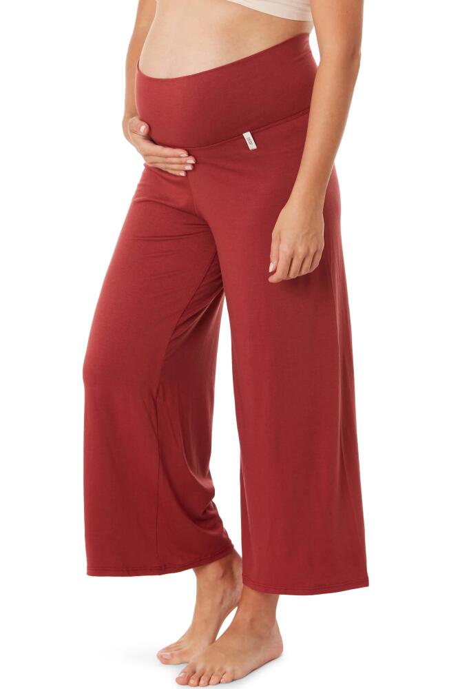 Cache Coeur Origin Wide Leg Maternity Pants in Terracotta Cover