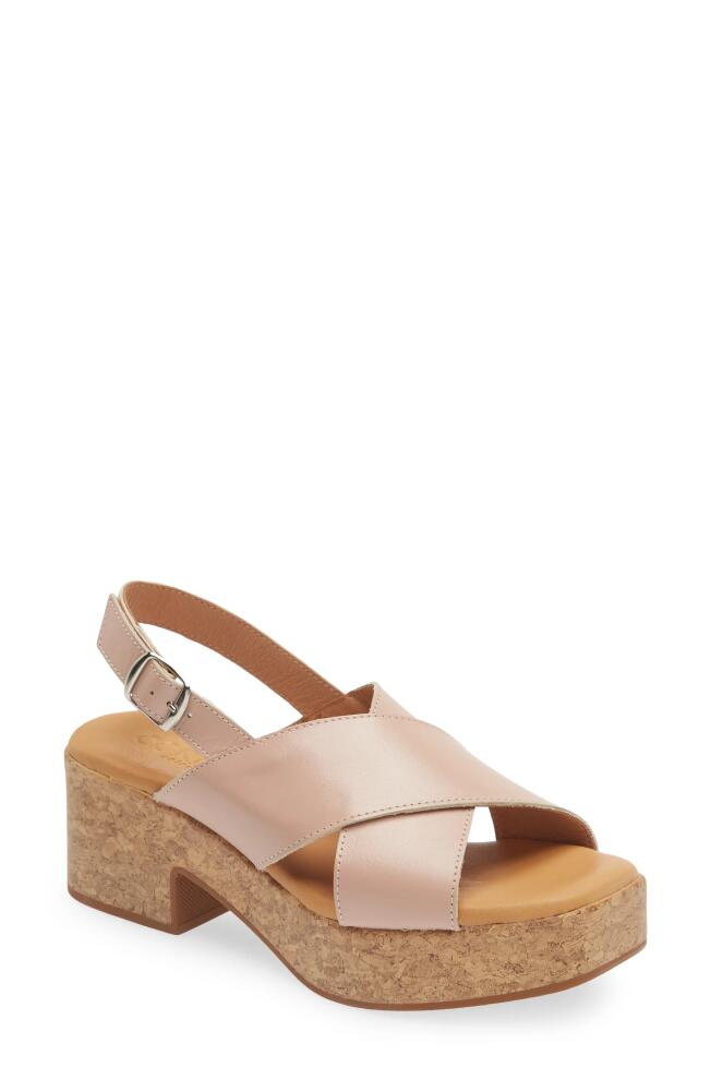 Cordani Malin Platform Sandal in Natural Leather Cover