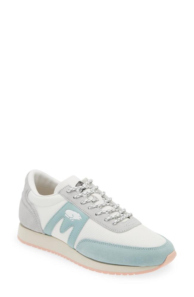 Karhu Gender Inclusive Albatross 82 Sneaker in Lunar Rock/Surf Spray Cover