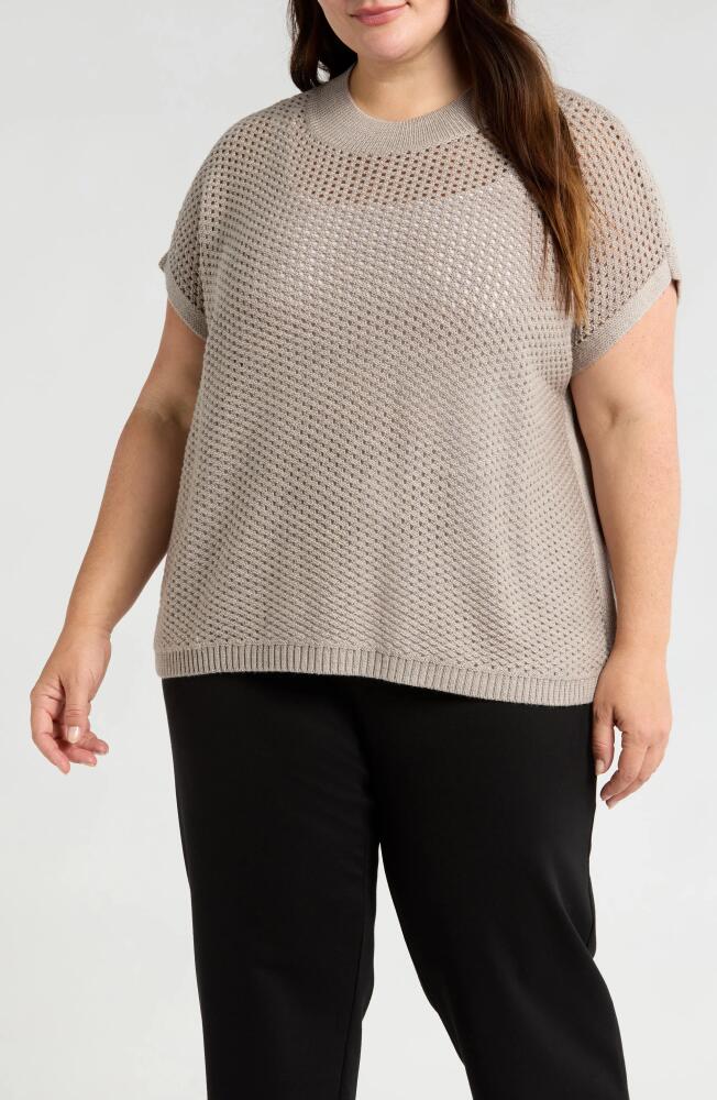 Eileen Fisher Short Sleeve Wool Sweater in Dove Cover