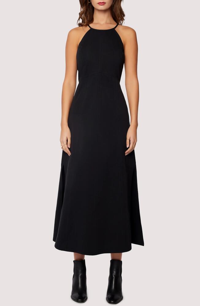 Lost + Wander Giardino Cotton Midi Dress in Black Cover