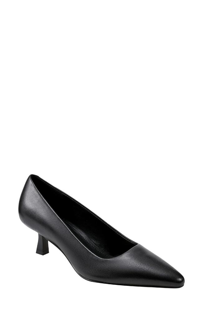 Marc Fisher LTD Kendri Pointed Toe Kitten Heel Pump in Black Cover