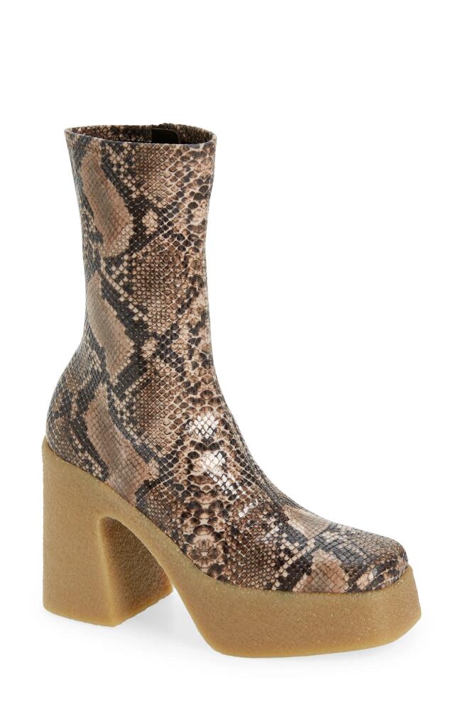 Stella McCartney Skyla Reptile Print Platform Bootie in 2007 Coffee Cover