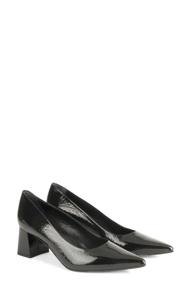 AGL Tracy Pointed Toe Pump in Nero Cover