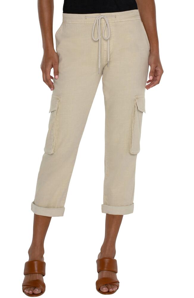 Liverpool Los Angeles Rascal Drawstring Waist Slouchy Crop Cargo Pants in Sandy Cove Cover