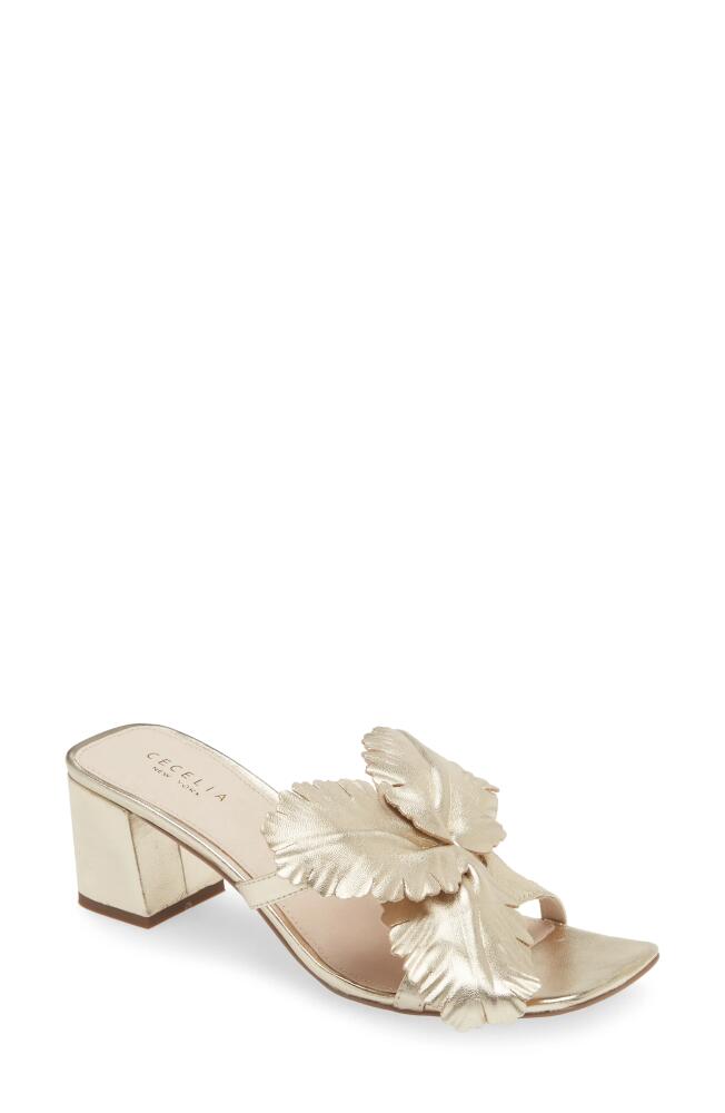 Cecelia New York Happy Leather Sandal in Soft Gold Cover