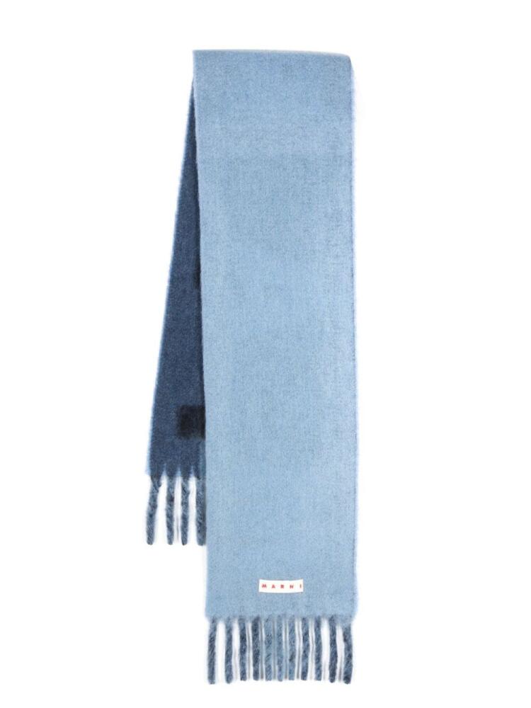 Marni intarsia-logo fringed scarf - Blue Cover