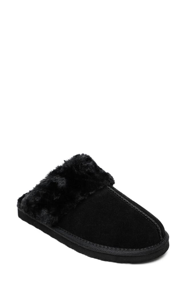 Minnetonka Chesney Mule Slipper in Black Suede Cover