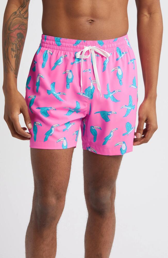 Chubbies Classic Lined 5.5-Inch Swim Trunks in The Toucan Do Its Cover