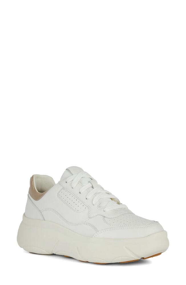 Geox Nebula Platform Wedge Sneaker in White Cover