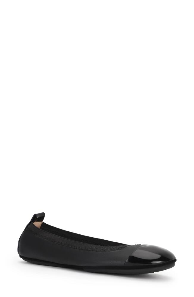 Yosi Samra Samantha Foldable Ballet Flat in Black/Black Cover