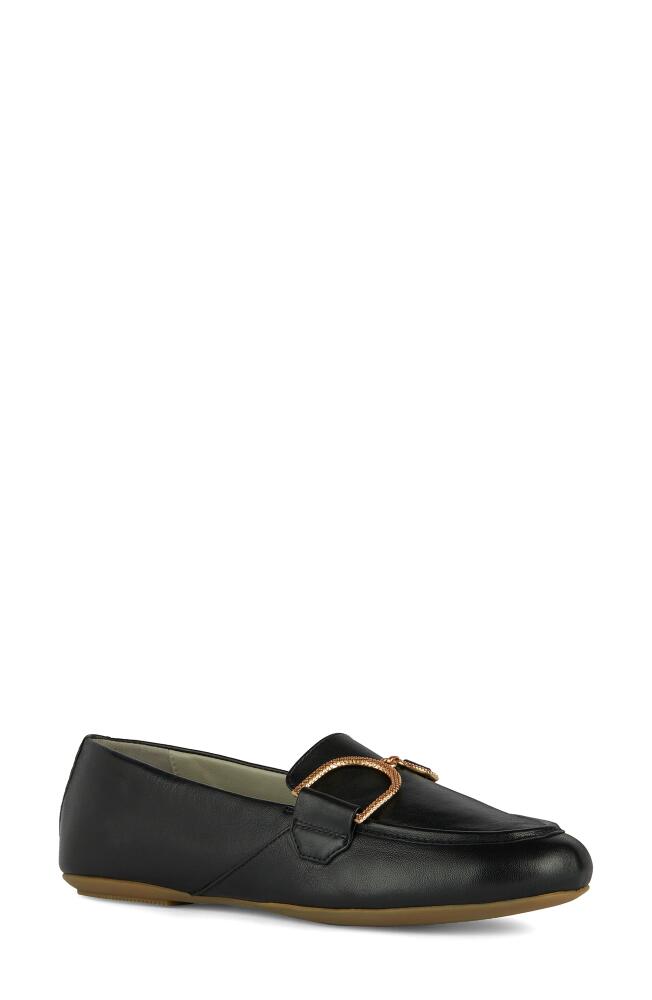 Geox Palmaria Loafer in Black Cover