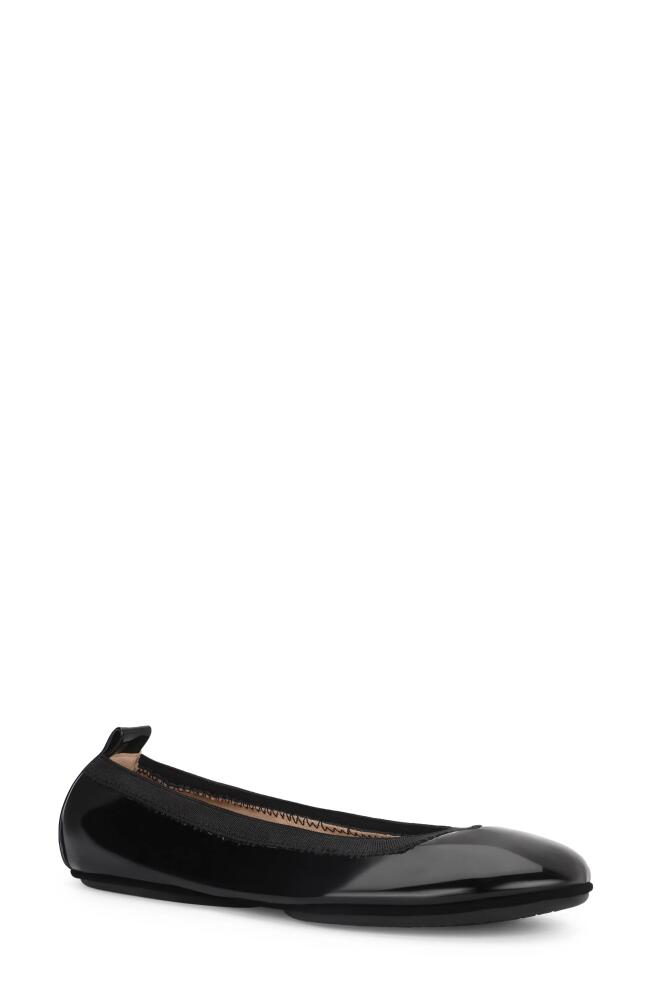 Yosi Samra Samara Foldable Ballet Flat in Black Patent Cover