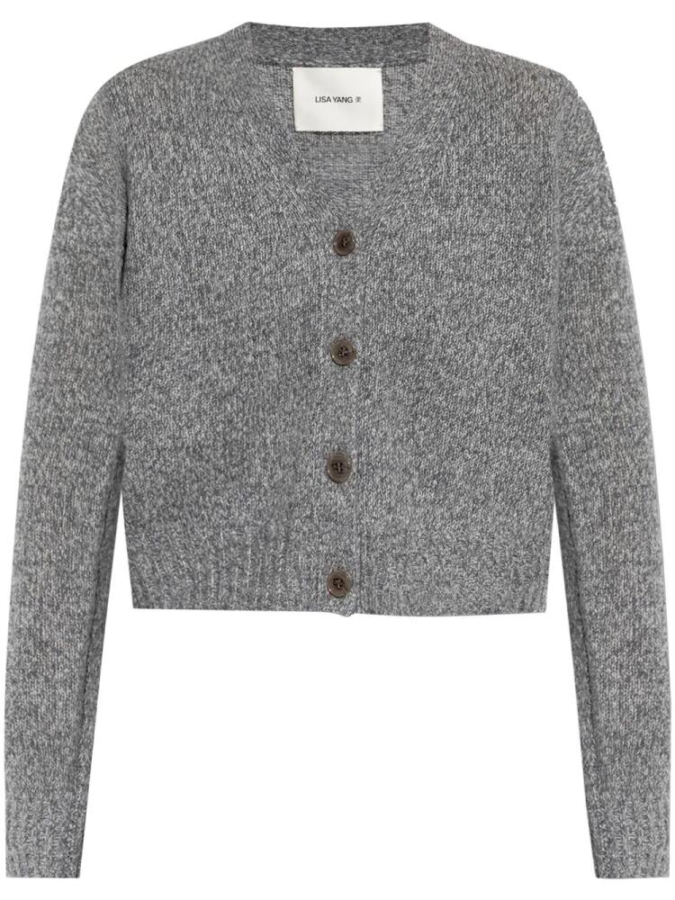 Lisa Yang V-neck cashmere cardigan - Grey Cover