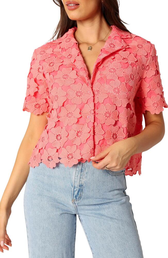 Petal & Pup Locale Floral Lace Camp Shirt in Watermelon Cover