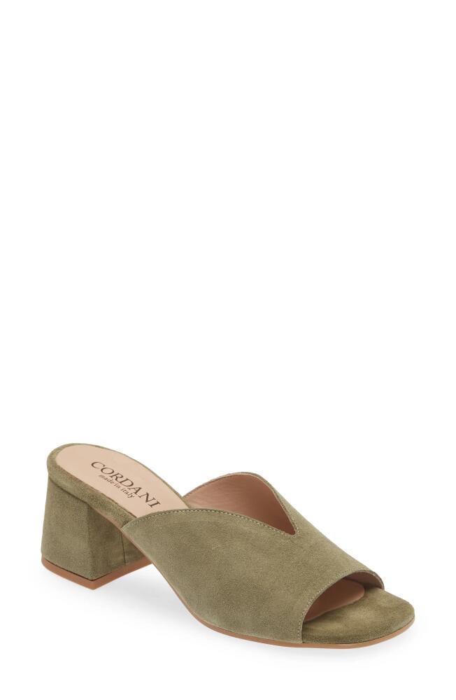 Cordani Pollie Slide Sandal in Ivy Suede Cover