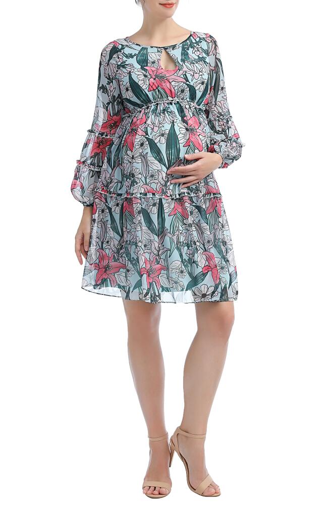 Kimi and Kai Nia Floral Long Sleeve Maternity Babydoll Dress in Green Multi Cover