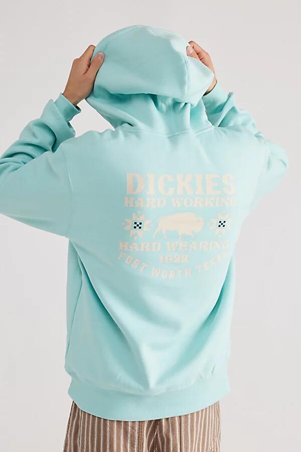 Dickies Hays Graphic Hoodie Sweatshirt in Pastel Turquoise Cover