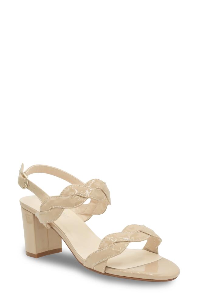 Touch Ups Champagne Ankle Strap Sandal in Nude Cover