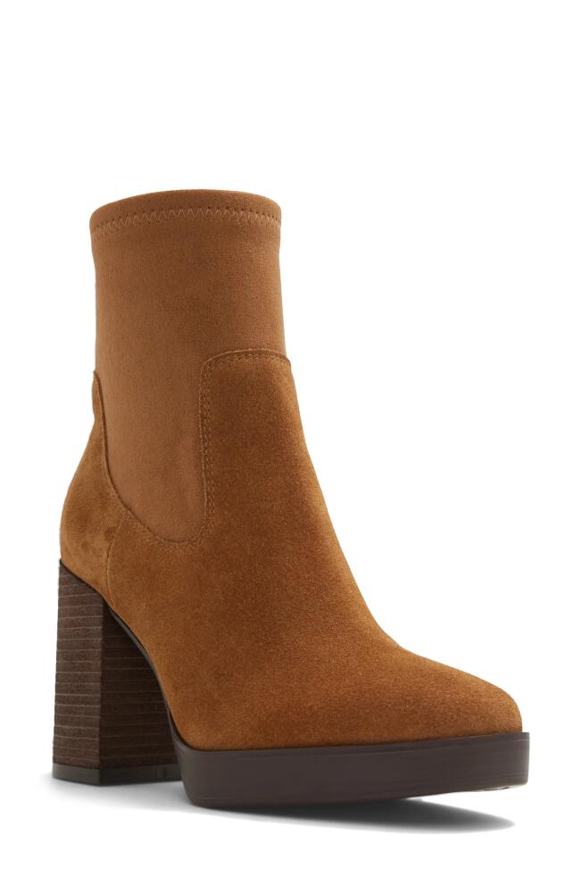 ALDO Voss Bootie in Dark Brown Cover