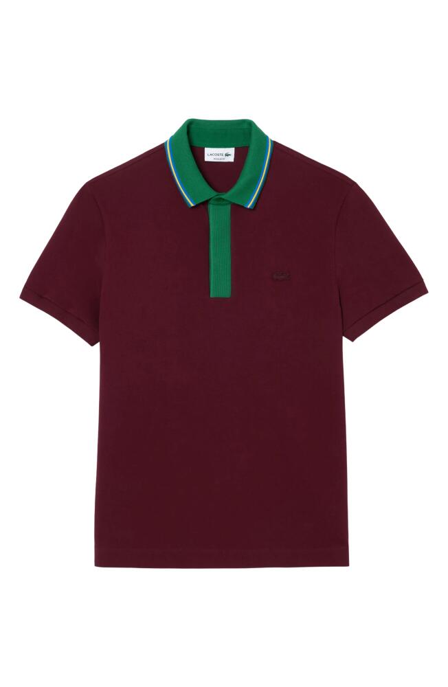 Lacoste Regular Fit Tipped Cotton Piqué Polo in Yup Zin Cover