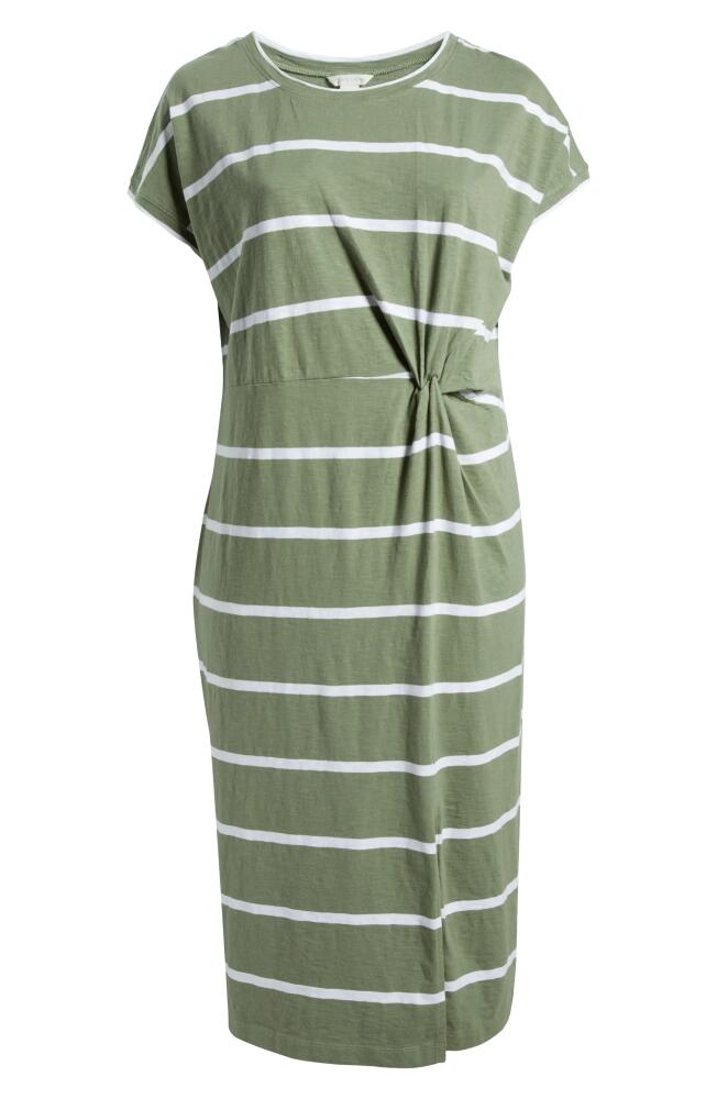 caslon(r) Twist Detail Organic Cotton Dress in Green Dune- White Jan Stripe Cover