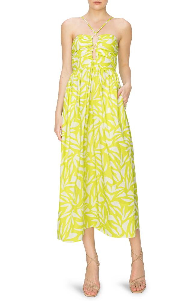 MELLODAY Print Poplin Sundress in Lime/Ivory Print Cover