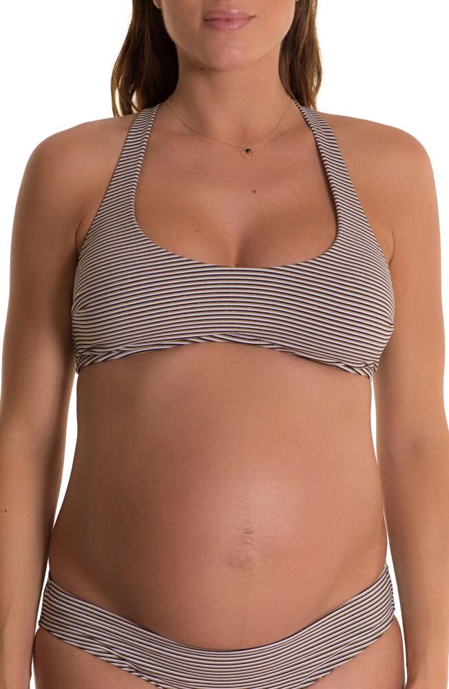 Pez D'Or Olivia Stripe Maternity Bikini Top in Multicolor Cover