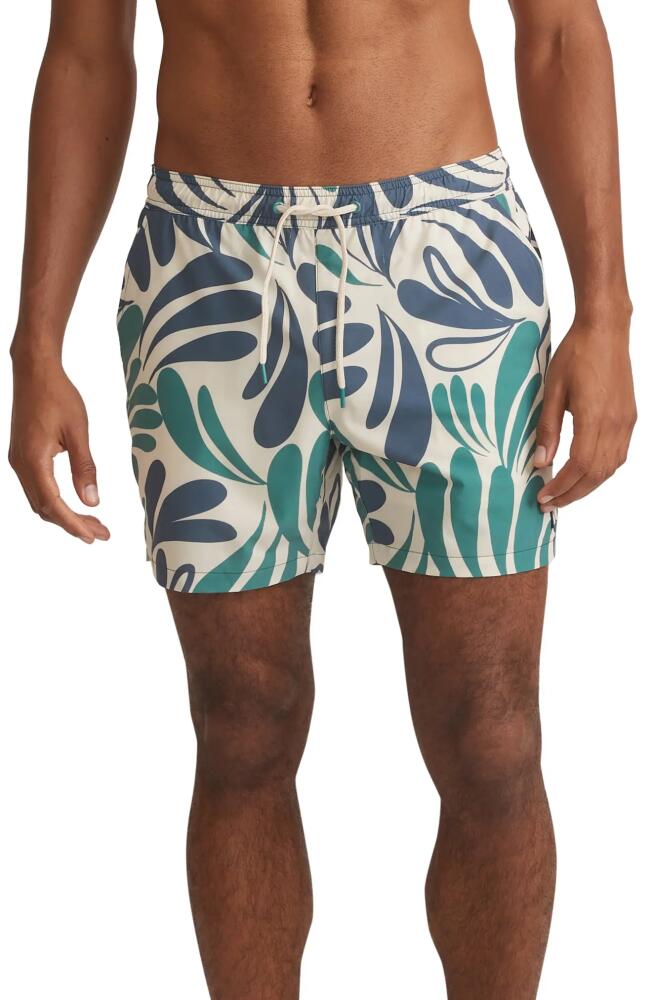 Marine Layer Abstract Floral Swim Trunks in Cool Abstract Floral Cover