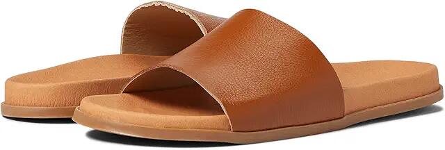 Eric Michael Fern (Tan) Women's Shoes Cover