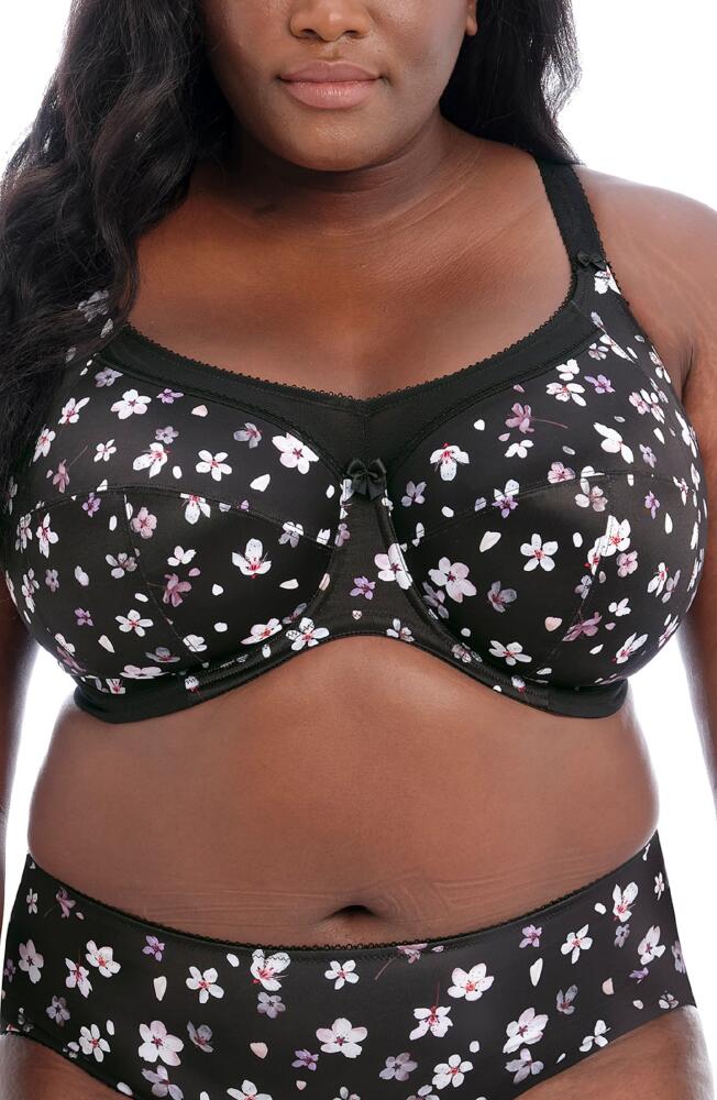 Goddess Kayla Full Cup Full Figure Underwire Bra in Sakura Cover