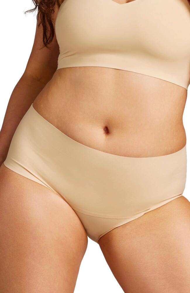 Siella Invisible Full Cut Control Pantie in Nude Cover