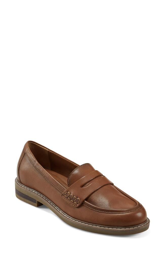 Earth Javas Penny Loafer in Rum Cover