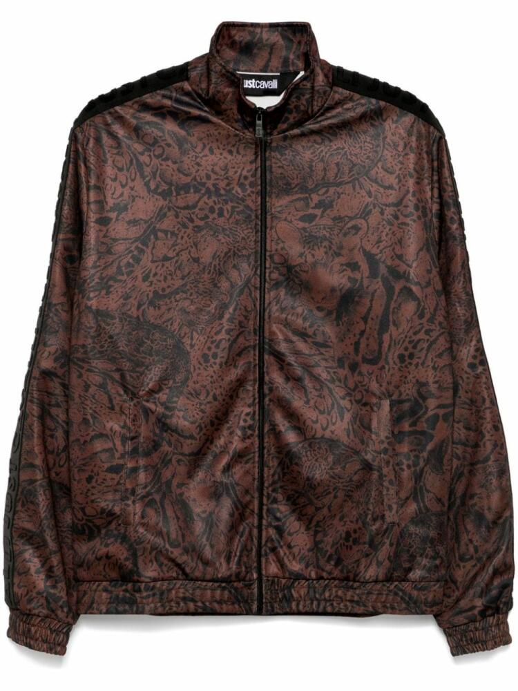 Just Cavalli leopard-print sweatshirt - Brown Cover