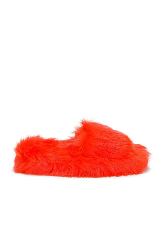 Bottega Veneta Shearling Resort Slides in Tangerine Cover