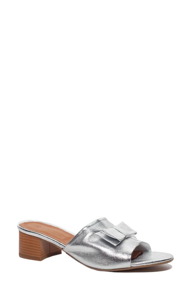 Unity in Diversity Bonita Slide Sandal in Silver Cover