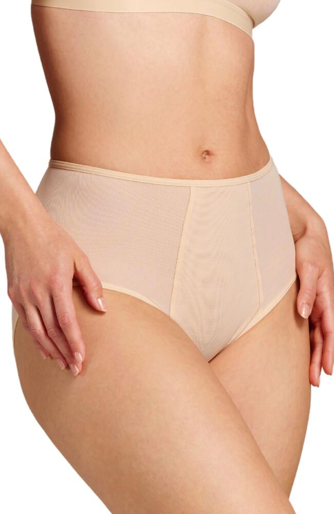 Siella Power Mesh High Waist Brief in Sand Cover