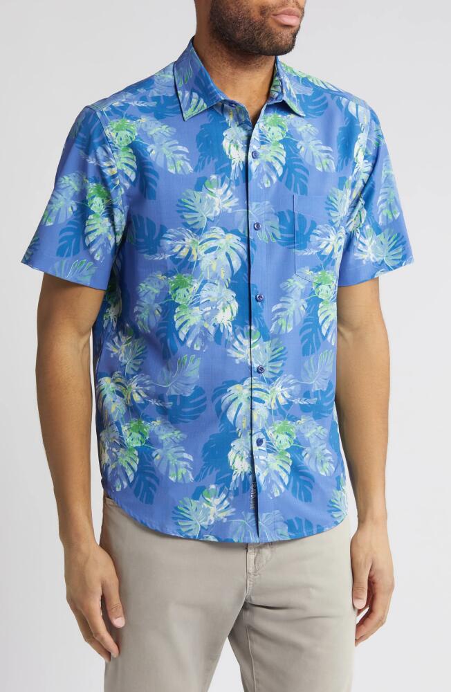 Tommy Bahama Bahama Coast Marina Fronds Short Sleeve Button-Up Shirt in Capri Blue Cover