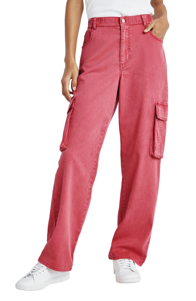 Splendid Aven Cargo Pants in Rossa Cover