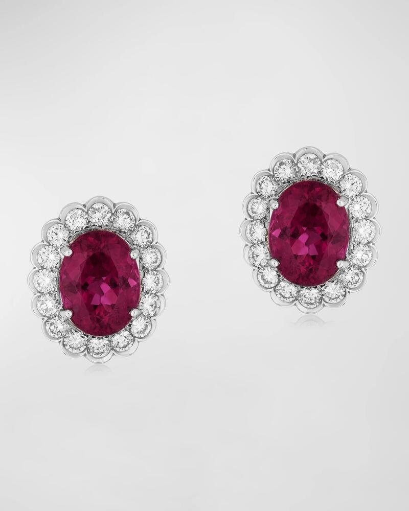 Andreoli 18K White Gold Diamond and Pink Tourmaline Earrings Cover