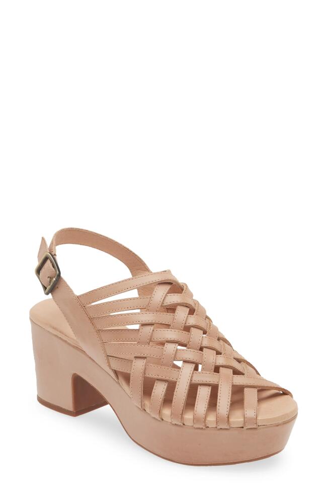 Chocolat Blu Graham Platform Sandal in Tan Leather Cover