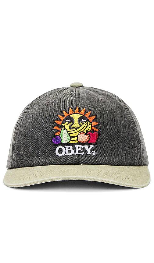 Obey Pigment Fruits 6 Panel Snapback in Multi Cover