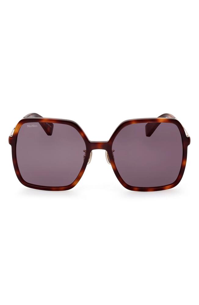 Max Mara 59mm Square Sunglasses in Dark Havana /Smoke Cover