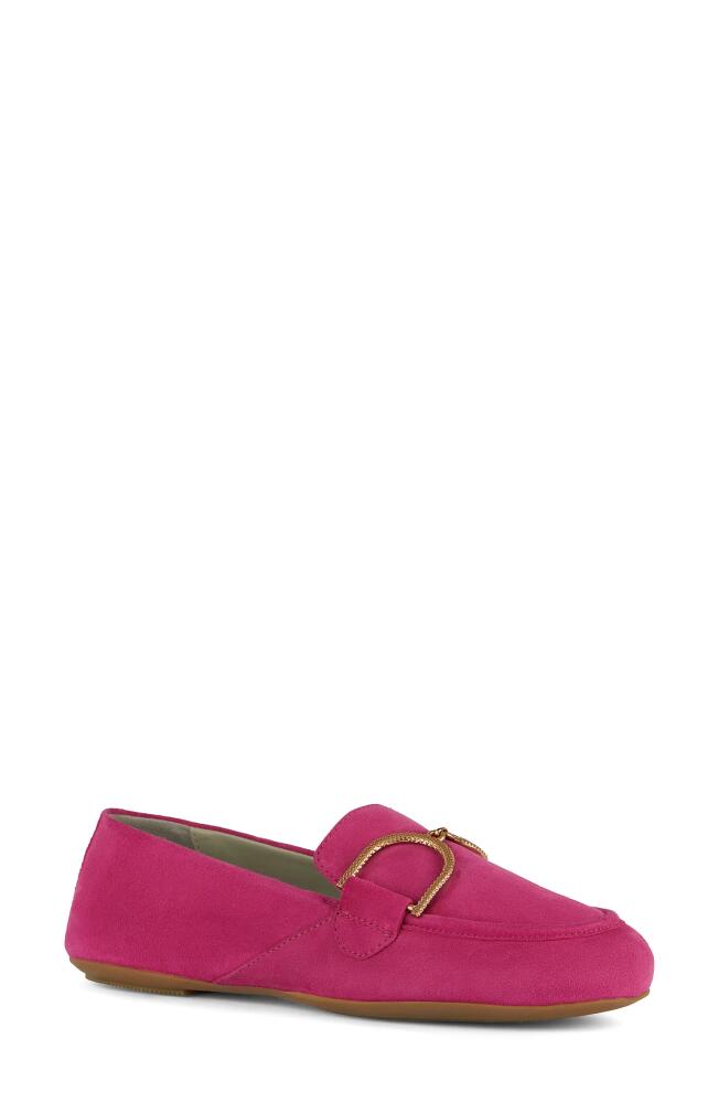 Geox Palmaria Loafer in Fuchsia Cover