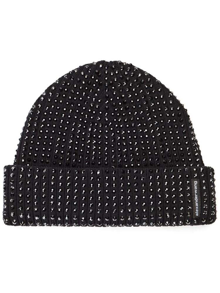 Alexander Wang crystal-embellished beanie - Black Cover