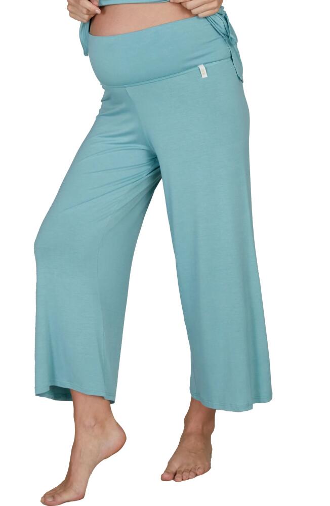 Cache Coeur Origin Wide Leg Maternity Pants in Ocean Cover