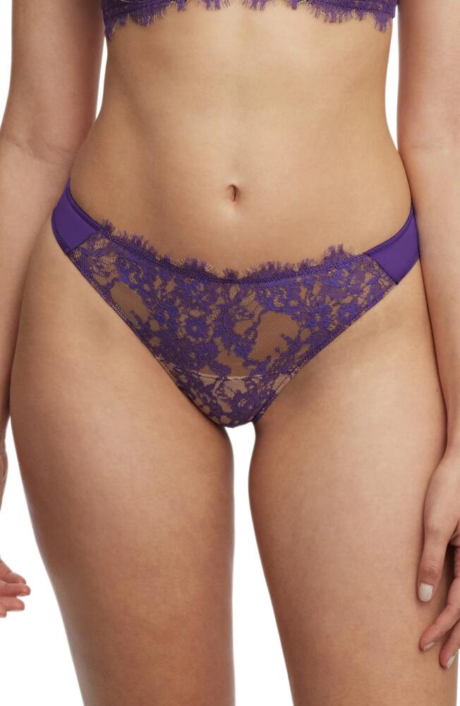 Skarlett Blue Entice Lace Front Thong in Moon Drop/nylon Cover