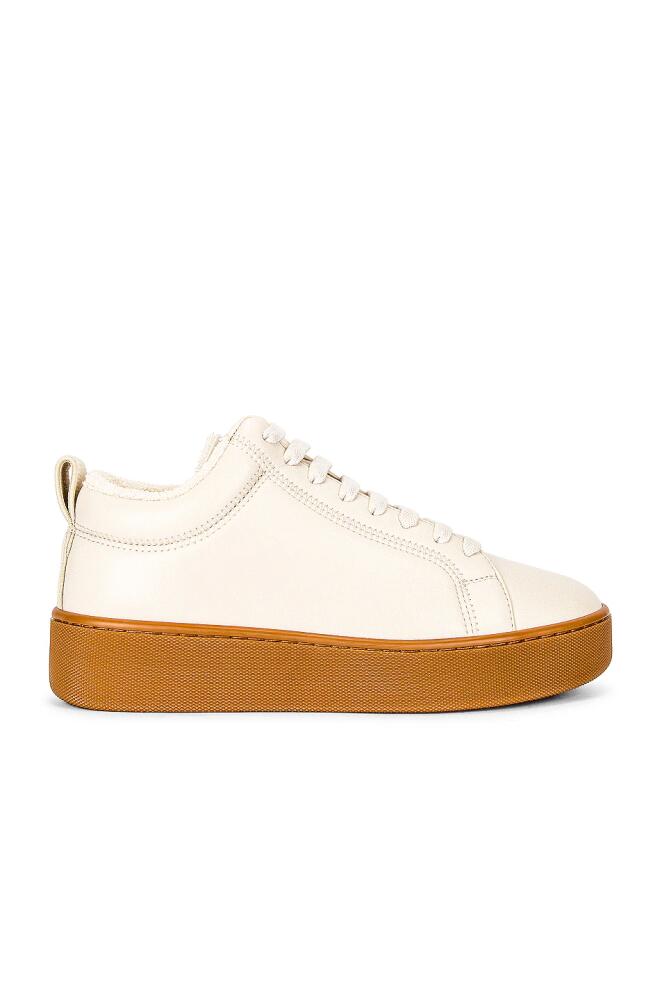 Bottega Veneta Lace Up Sneakers in Ivory Cover