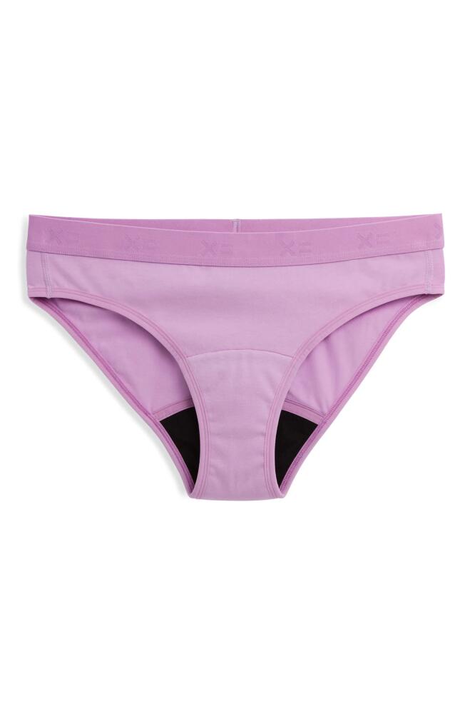 TomboyX First Line Stretch Cotton Period Bikini in Sugar Violet Cover